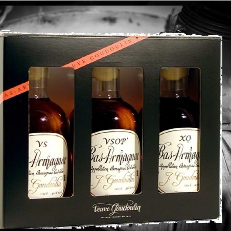 COFFRET DECOUVERTE BAS ARMAGNAC GOUDOULIN 3 X 20CL 40°