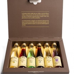 COFFRET MIGNONNETTES MICLO LIQUEURS 6 X 3CL 25Â°