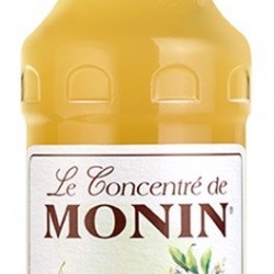 RANTCHO LIME CITRON VERT CONCENTRÉ MONIN   70 CL