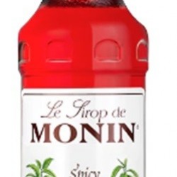 SPICY MONIN SIROP  70 CL