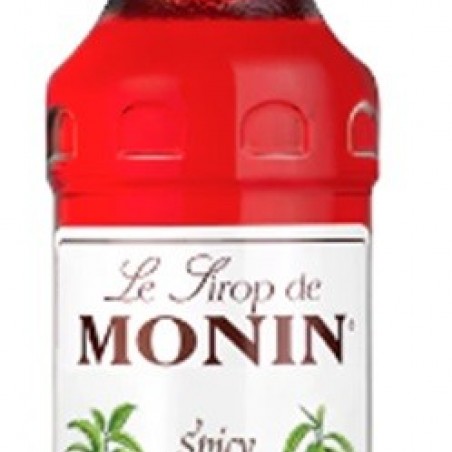 SPICY MONIN SIROP  70 CL