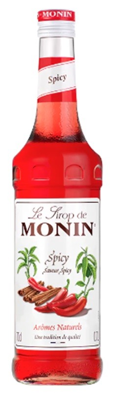 SPICY MONIN SIROP  70 CL