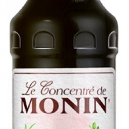 THÉ FRAMBOISE MONIN SIROP  70  CL