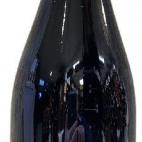 CHEVALIER DE MINIÈRE 2021 BOURGUEIL BIO AOP 75CL