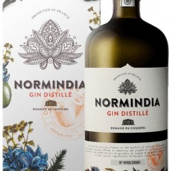 NORMINDIA GIN FRANCE 70 CL  41.4°C