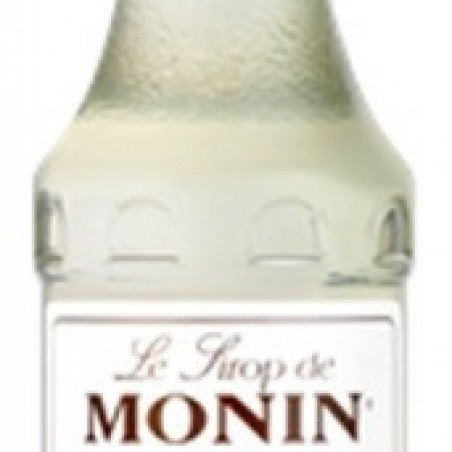 GINGEMBRE 25  CL MONIN SIROP