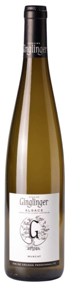 MUSCAT DOMAINE GINGLINGER BIO 2024 ALSACE
