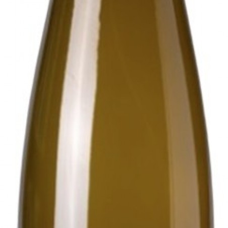 PINOT GRIS SEC BIO DOMAINE GINGLINGER 2023 ALSACE