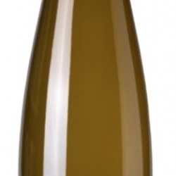 RIESLING SEC DOMAINE GINGLINGER BIO 2023 ALSACE RIESLING SEC DOMAINE GINGLINGER BIO 2023 ALSACE