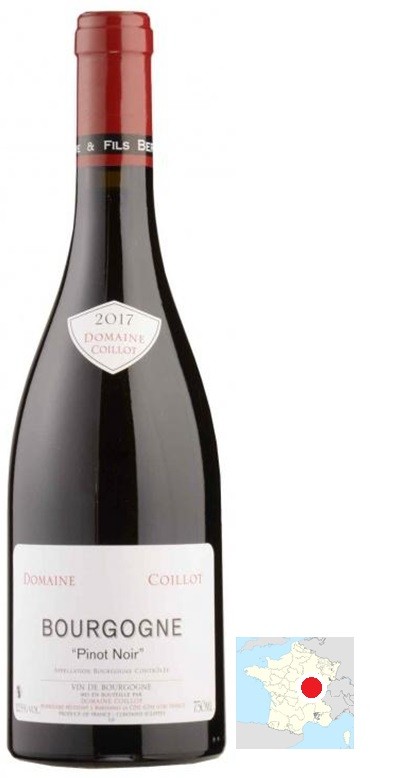 BOURGOGNE PINOT NOIR 2017 COILLOT AOC  75 CL