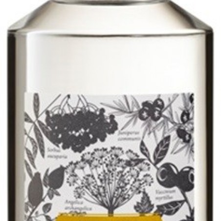 GIN FORESTIER MICLO ALSACE 70 C L  43°