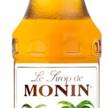 CARIBBEAN (RHUM) SIROP MONIN 25 CL