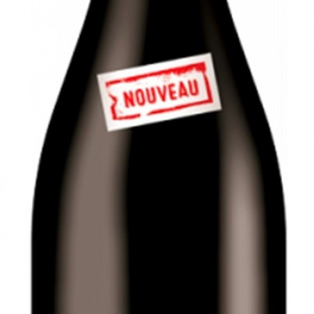 DOM DES NUGUES BEAUJ VILLAGES PRIMEURS 2023 75 CL