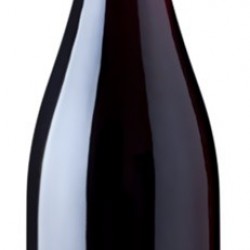 HORGELUS ROUGE DE GALA COTES DE GASCOGNE 75CL 2020