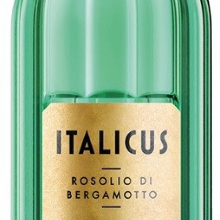 ITALICUS LIQUEUR ITALIE 70CL 20°