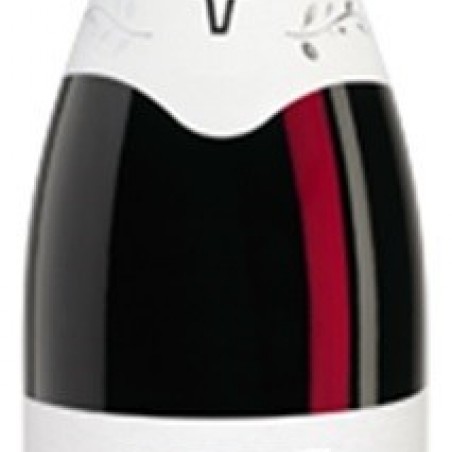 JULIENAS AOC DUBOEUF 2015 75CL