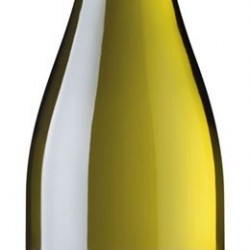 HORGELUS COLOMBARD SAUVIGNON 2020 IGP COTES GASCOGNE  75 CL 