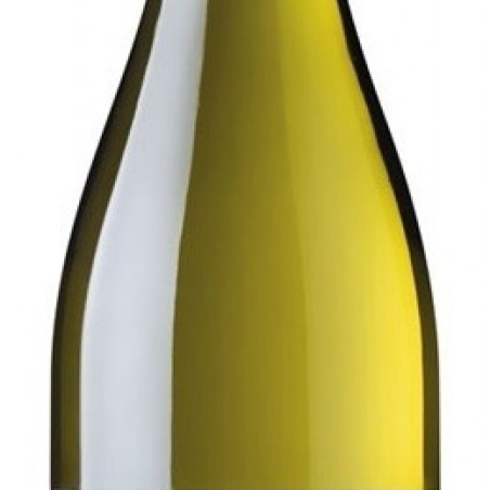 HORGELUS COLOMBARD SAUVIGNON 2020 IGP COTES GASCOGNE  75 CL 