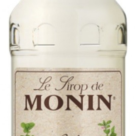 MENTHE BIO MONIN 100 CL