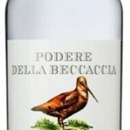 GRAPPA PODERE BECCACCIA 70 CL 38° 