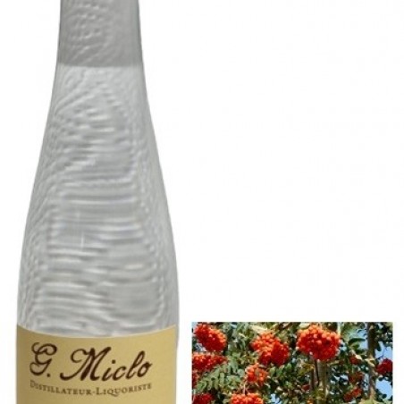 ALISIER SAUVAGE MICLO TRADITION EAU DE VIE ALSACE 50 CL 40°