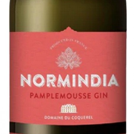 NORMINDIA PAMPLEMOUSSE GIN FRANCE   70 CL 41.4°