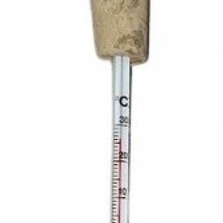 THERMOMETRE BOUCHON RAISIN ETAIN 