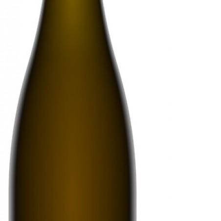 PINOT GRIS ROSENBERG BIO 2019 BARMÈS BUECHER ALSACE AOC 75CL