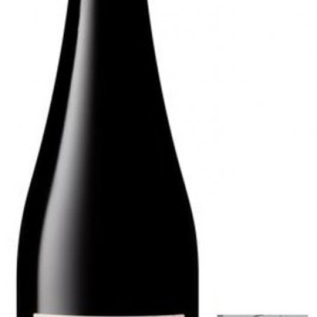 PINOT NOIR LES NATURELS WELTY BIO-SANS SO2  2019 75CL  AOP