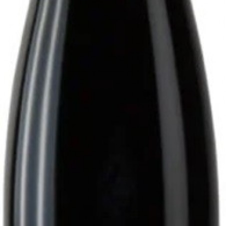 PINOT NOIR PRINCES ABBÉS SCHLUMBERGER 2019 ALSACE AOC  75CL