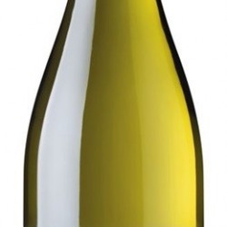HORGELUS COLOMBARD SAUVIGNON 2019 IGP COTES GASCOGNE  75 CL 