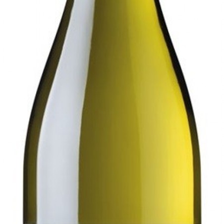 HORGELUS COLOMBARD SAUVIGNON 2019 IGP COTES GASCOGNE  75 CL 