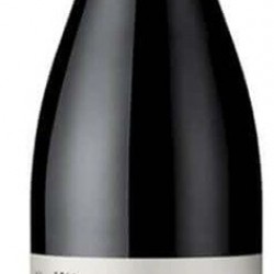 PAYS OC IGP SYRAH VIOGNIER PAUL MAS 2022   75 CL