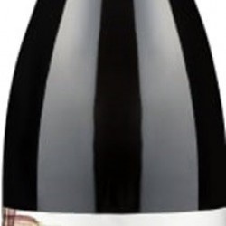 SAINT CHINIAN BIO AOC GAIA DE FORTANT 2019 75 CL SAINT CHINIAN BIO AOC GAIA DE FORTANT 2019 75 CL
