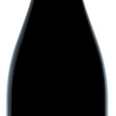 SYRAH LA CROIX BELLE 2021 IGP COTES DE THONGUE 75 CL 