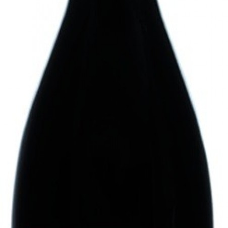 DOMAINE LA CROIX BELLE N°7 ROUGE IGP CÔTES DE  THONGUE 