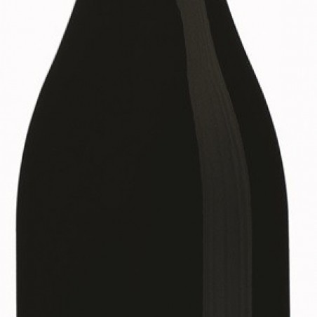 COSTIERES DE NIMES AOC CHÂTEAU ST-BÉNÉZET 2020  75 CL 