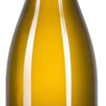 CROZES HERMITAGE AOC BLANC GRAILLOT 2009  75CL 