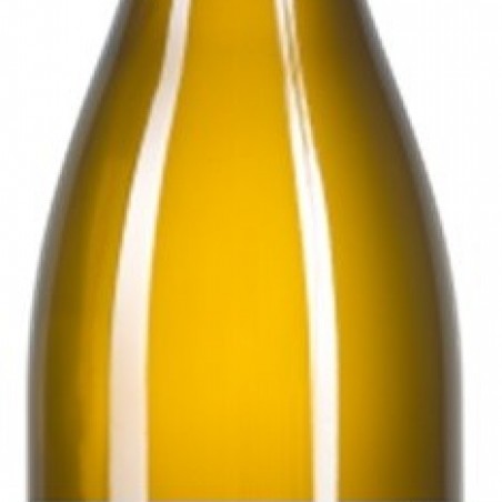 COTEAUX BOURGUIGNONS PHALANGÈRE BLANC 2016   AOP 75 CL