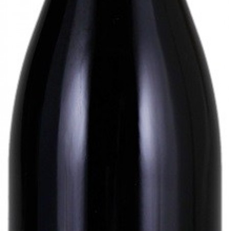 BEAUNE LES AIGROTS 2020 1ER CRU AOC DOMAINE S. MAGNIEN 75CL