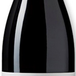 CHASSAGNE MONTRACHET CHAMPS DE MORJOT DOMAINE GIRARDIN2019 