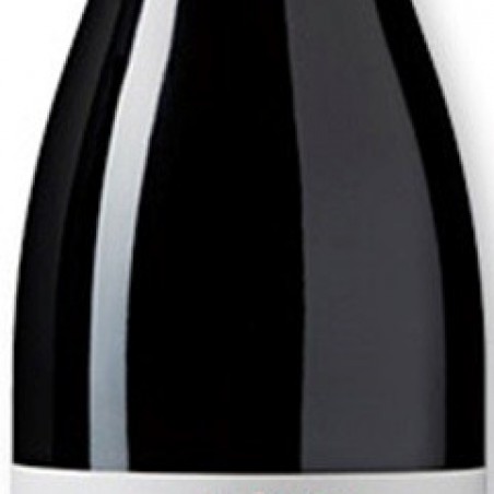 CHASSAGNE MONTRACHET CHAMPS DE MORJOT DOMAINE GIRARDIN2019 