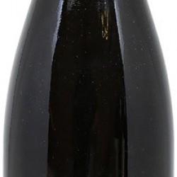 HAUTES CÔTES DE BEAUNE DOMAINE MAGNIEN 2019 75CL  AOC