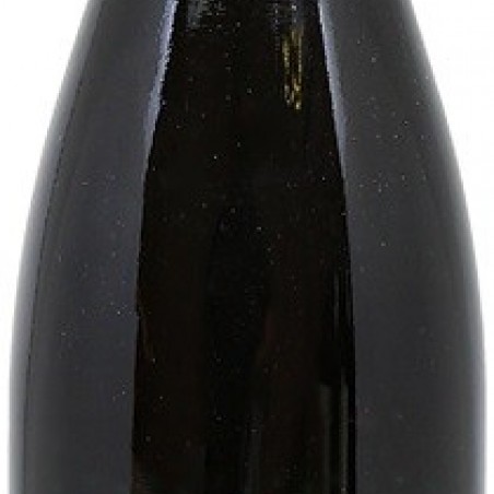 HAUTES CÔTES DE BEAUNE DOMAINE MAGNIEN 2019 75CL  AOC
