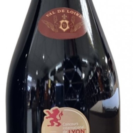 CHINON "CLOS DE L'ÉCHO" 2018 COULY-DUTHEIL AOC  75CL