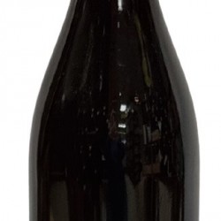 ST NICOLAS DE BOURGUEIL "LES ECHAILLONS" 2022 DE NEUVILLE