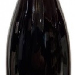 ST NICOLAS DE BOURGUEIL LES ECHAILLONS 37,5CL  