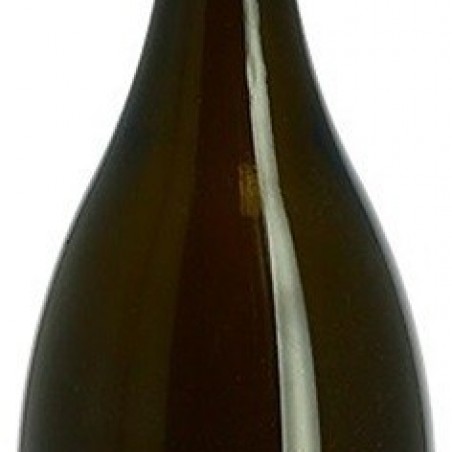 BAU FRIZZANT DE MUSCAT 75 CL VIN MOUSSEUX