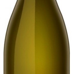 CHARDONNAY CAMELEON  ARGENTINE BLANC BIO 2019  75 CL