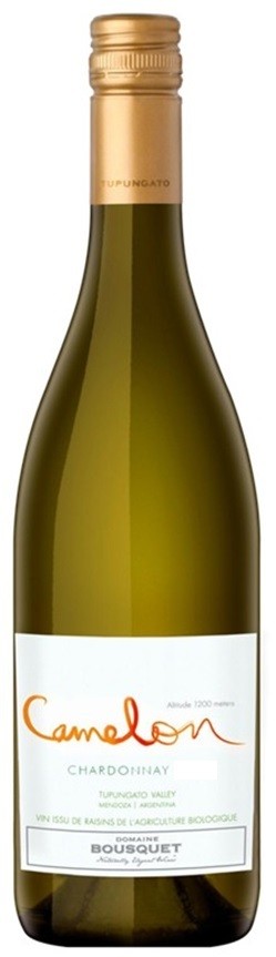 CHARDONNAY CAMELEON  ARGENTINE BLANC BIO 2019  75 CL